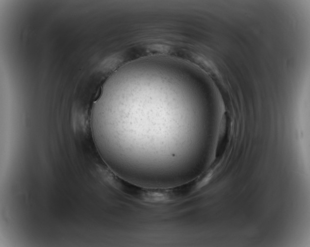 X0000085010285200703121528