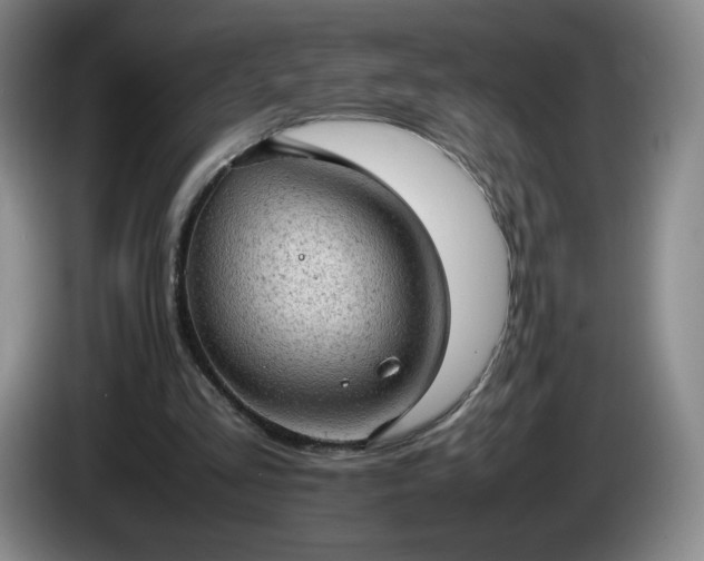X0000085010293200703121527