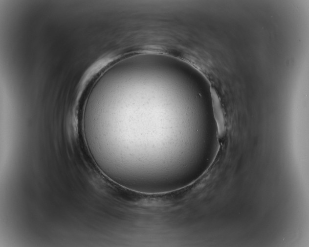 X0000085010294200703121527