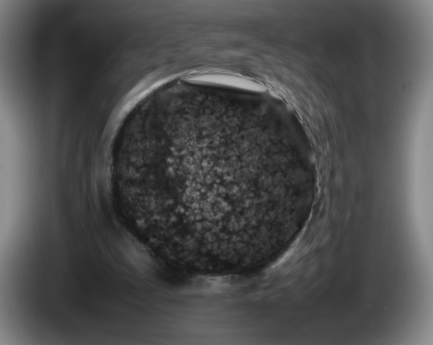 X0000085010295200703121527