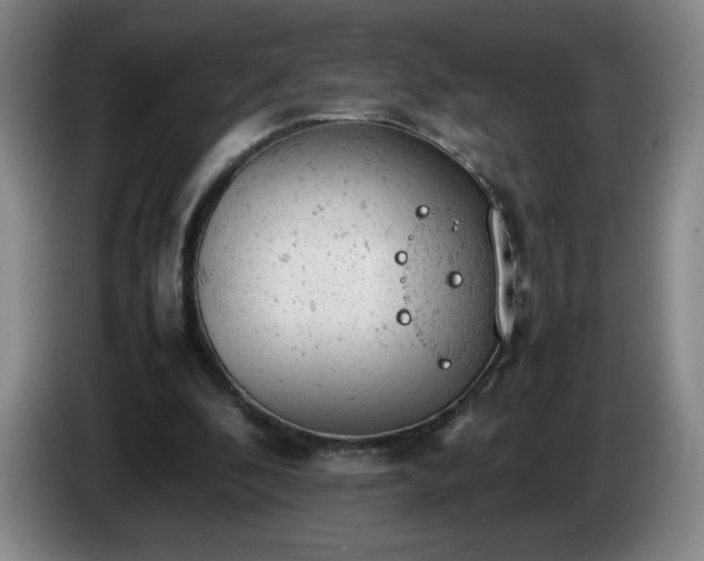 X0000085010296200703121527