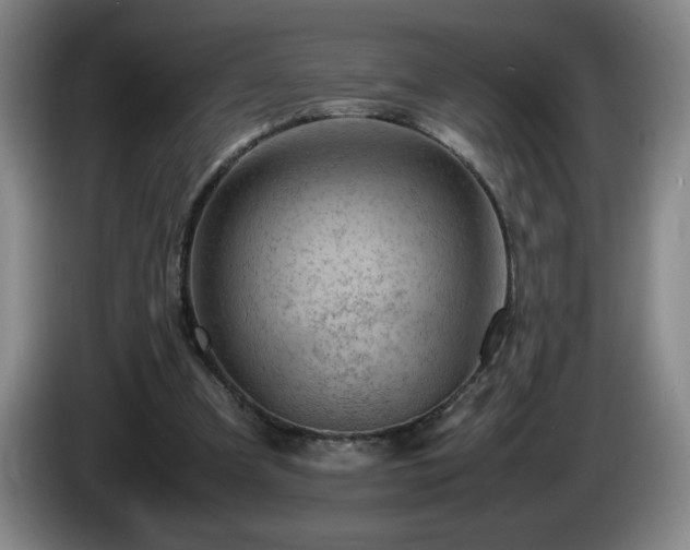 X0000085010297200703121527