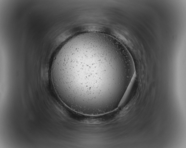 X0000085010299200703121527