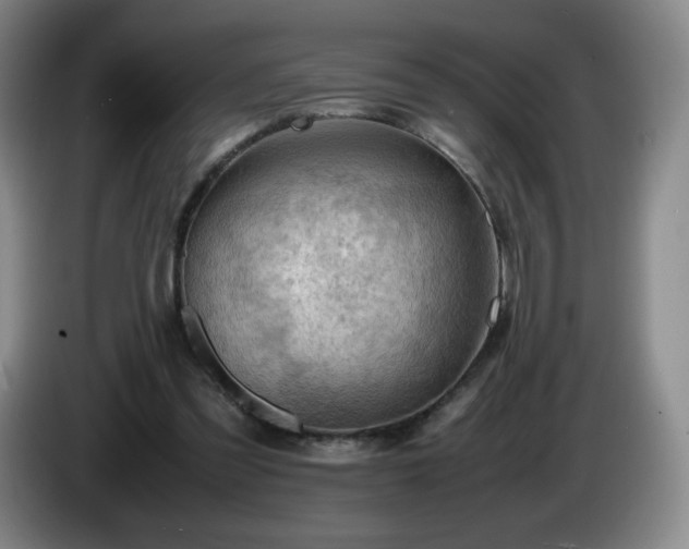X0000085010301200703121527