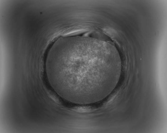 X0000085010303200703121527