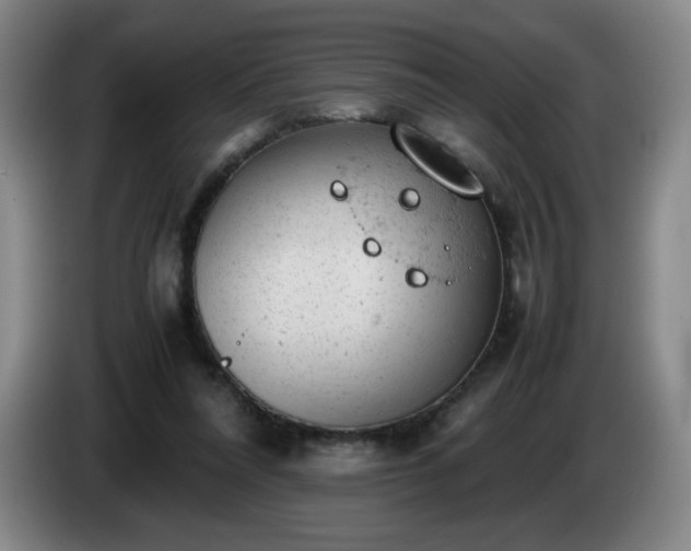 X0000085010304200703121527