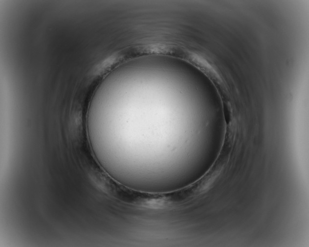 X0000085010306200703121527