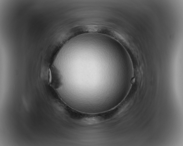 X0000085010307200703121527