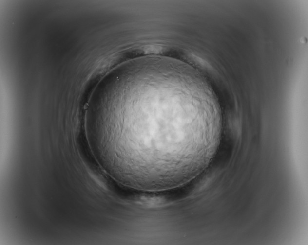 X0000085010311200703121527