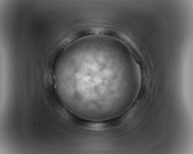 X0000085010313200703121527