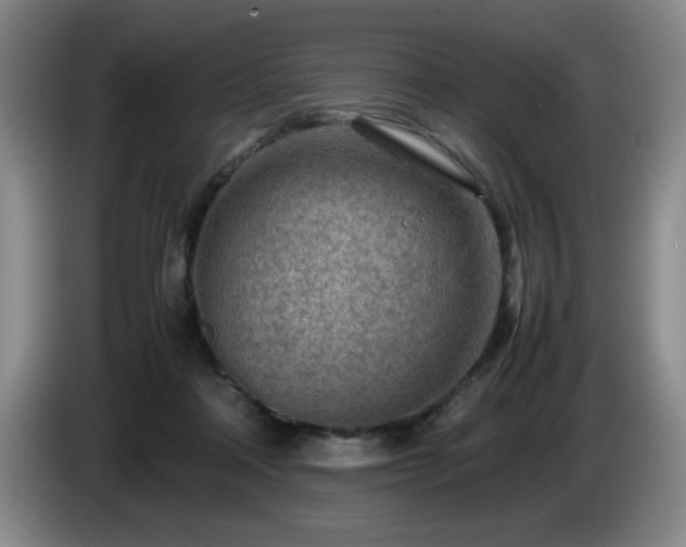X0000085010314200703121527
