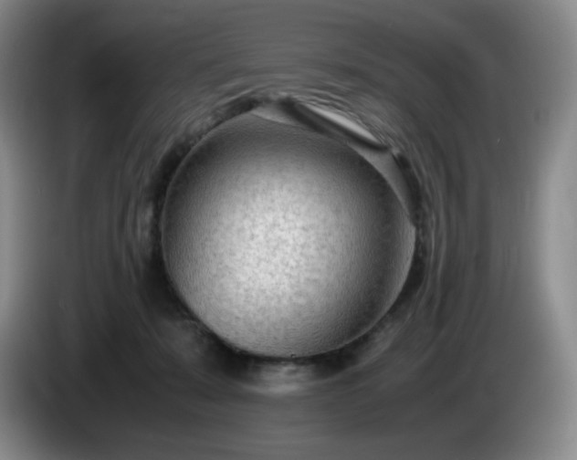 X0000085010319200703121527