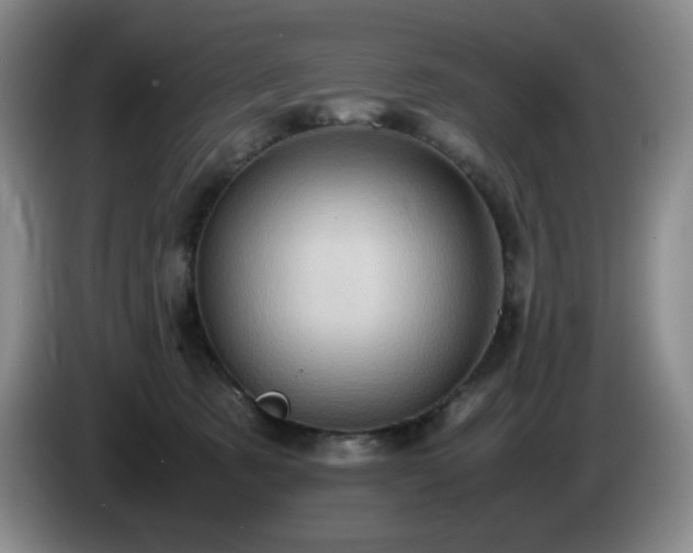 X0000085010321200703121527