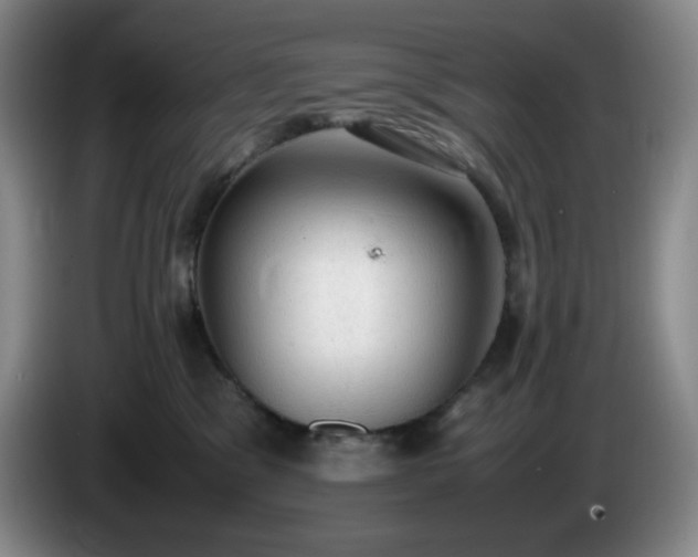 X0000085010329200703121527
