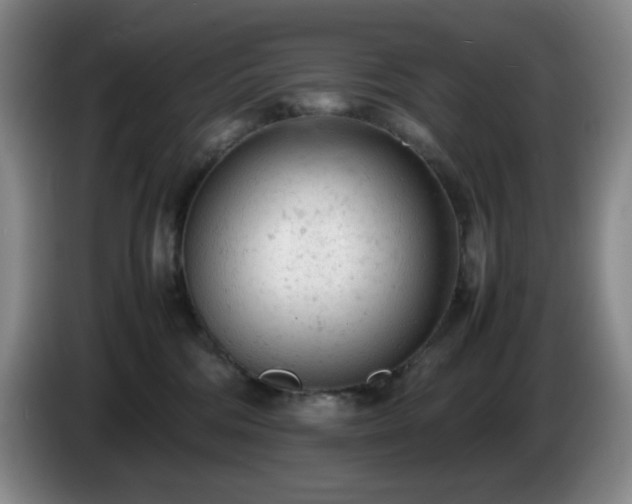 X0000085010330200703121527