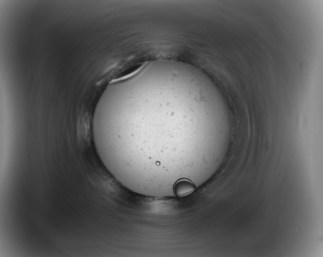 X0000085010336200703121527