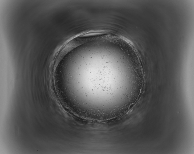 X0000085010337200703121526