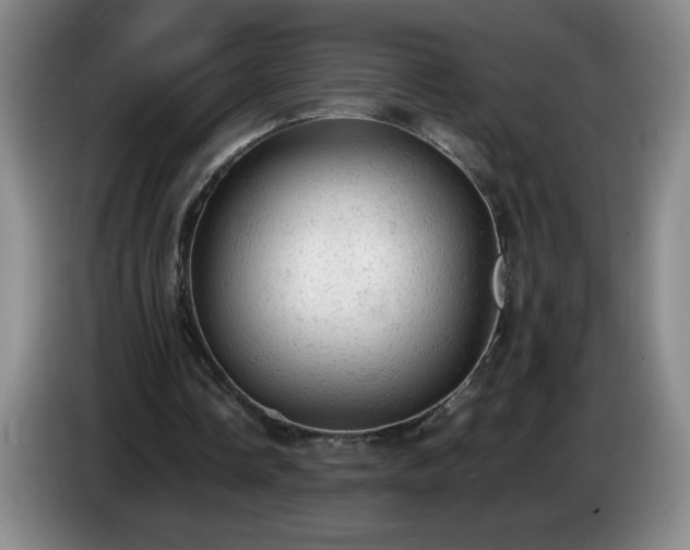 X0000085010338200703121526