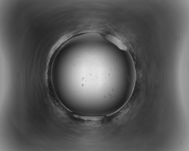 X0000085010340200703121526