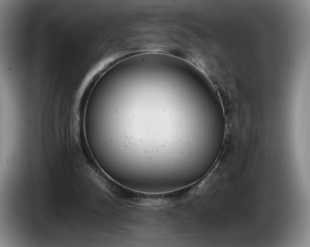 X0000085010342200703121526
