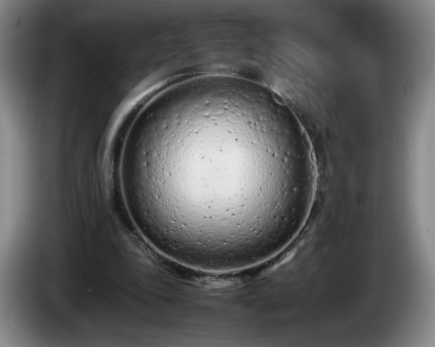 X0000085010343200703121526