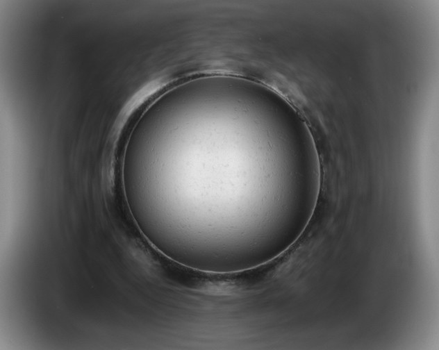X0000085010344200703121526