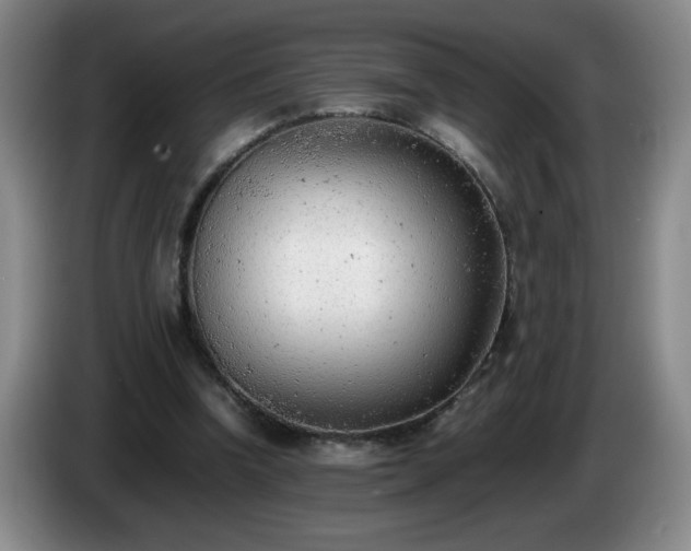 X0000085010346200703121526