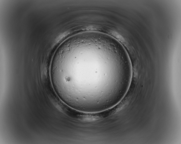 X0000085010347200703121526