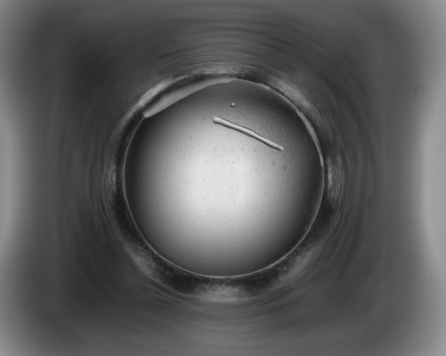X0000085010348200703121526