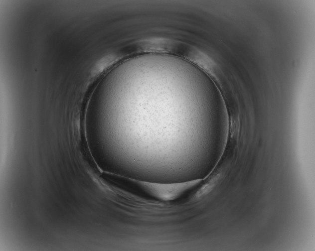 X0000085010349200703121526