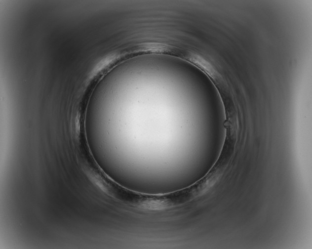 X0000085010350200703121526