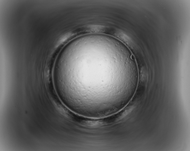 X0000085010351200703121526