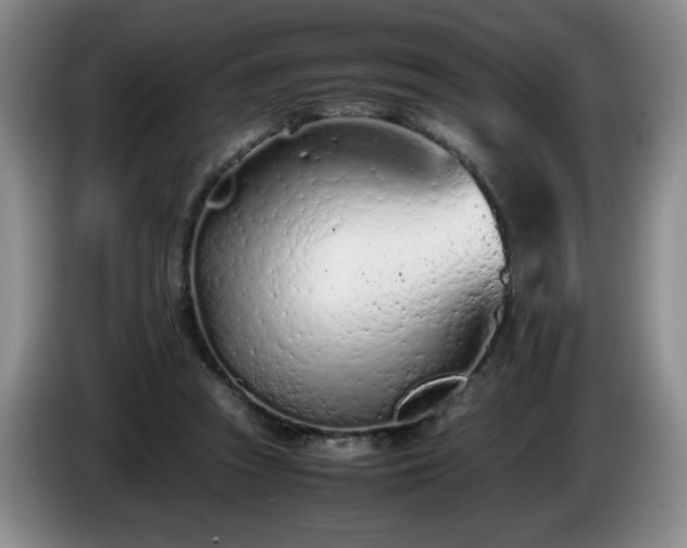 X0000085010353200703121526