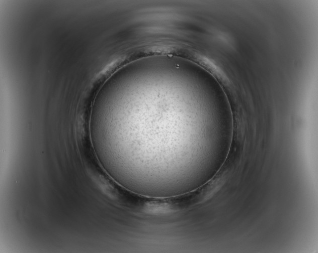 X0000085010354200703121526