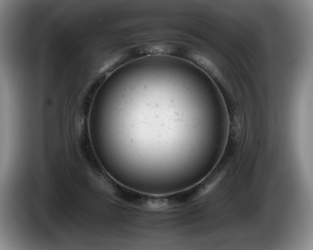 X0000085010355200703121526