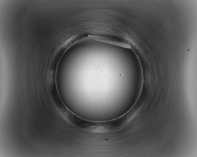 X0000085010356200703121526