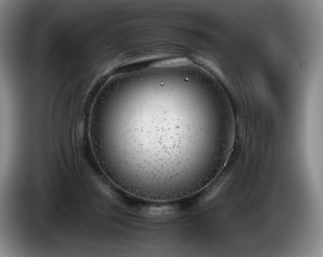 X0000085010357200703121526