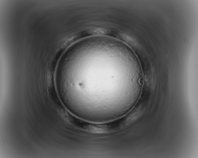 X0000085010359200703121526