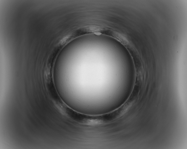 X0000085010360200703121526