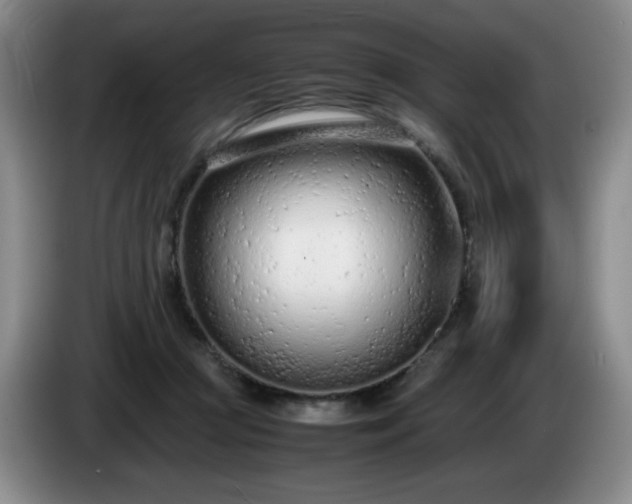 X0000085010361200703121526