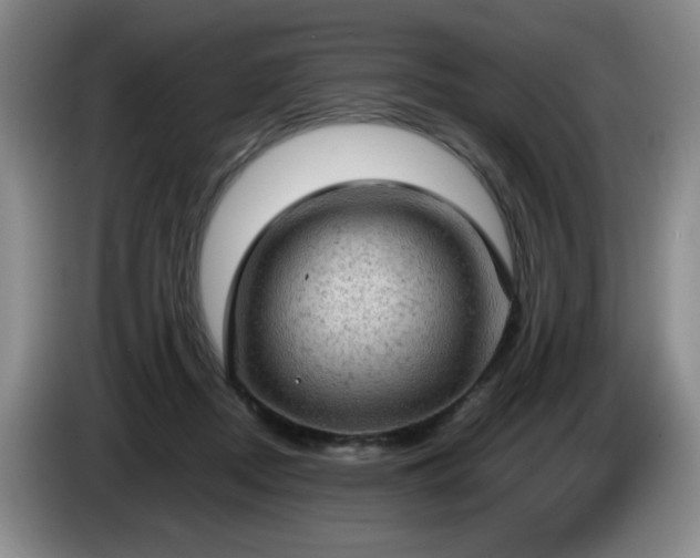 X0000085010362200703121526