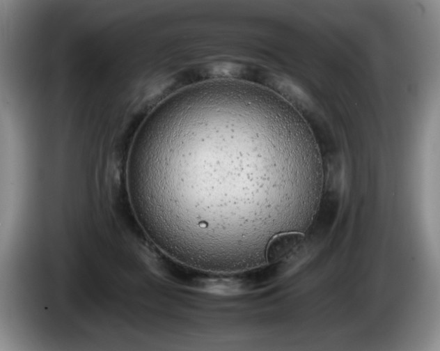 X0000085010363200703121526