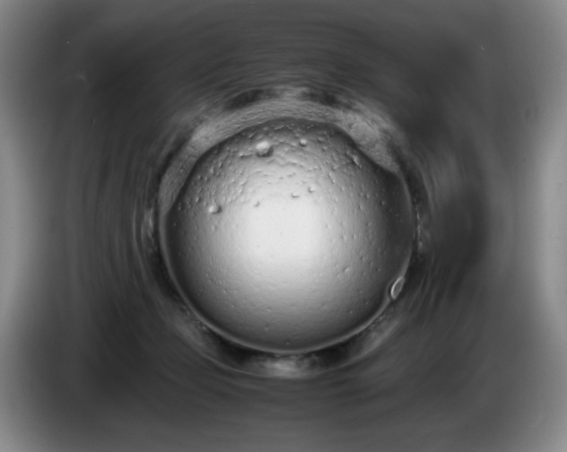 X0000085010365200703121526