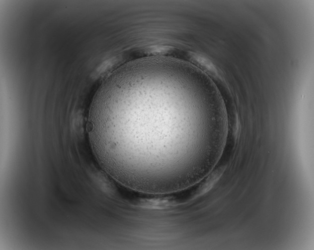 X0000085010366200703121526