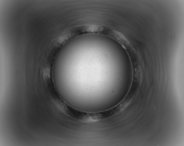 X0000085010368200703121526