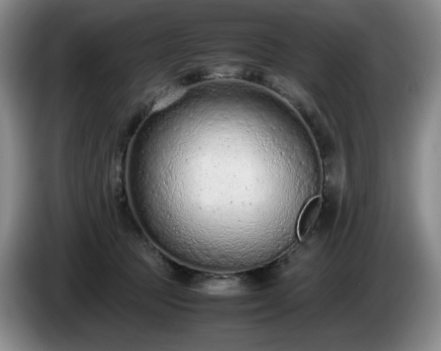 X0000085010369200703121526
