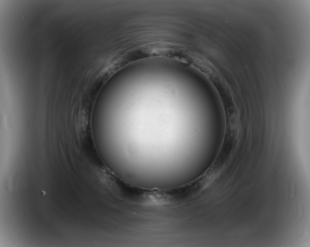 X0000085010372200703121526