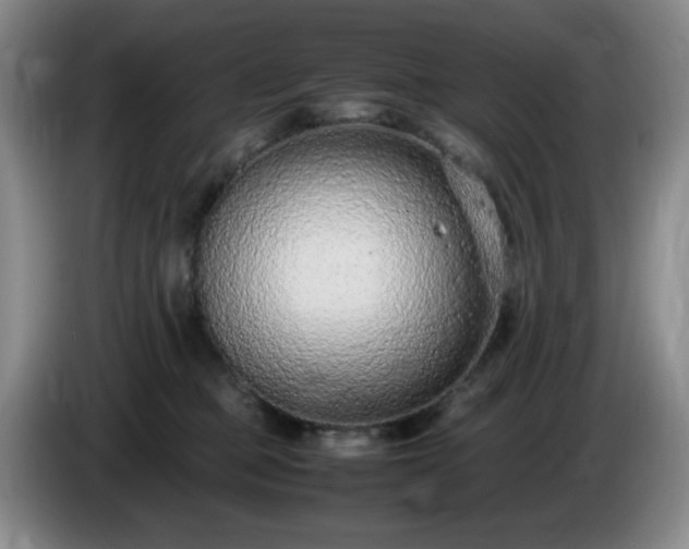 X0000085010373200703121526