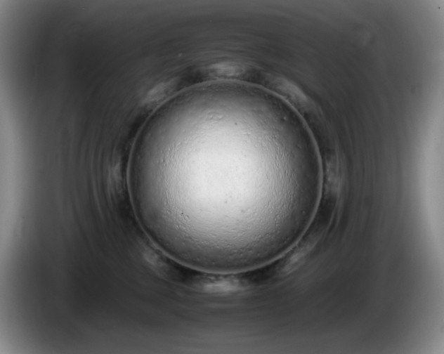 X0000085010377200703121527
