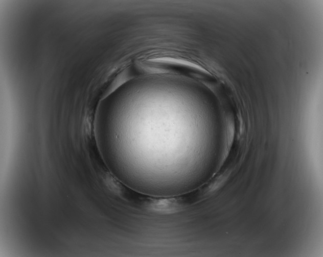 X0000085010382200703121527